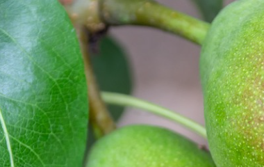云开体育app平台下载(官方)网站/网页版登录入口/手机版APP下载
