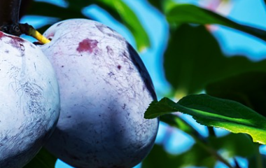 云开体育app平台下载(官方)网站/网页版登录入口/手机版APP下载