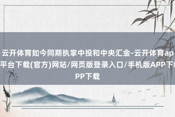 云开体育如今同期执掌中投和中央汇金-云开体育app平台下载(官方)网站/网页版登录入口/手机版APP下载