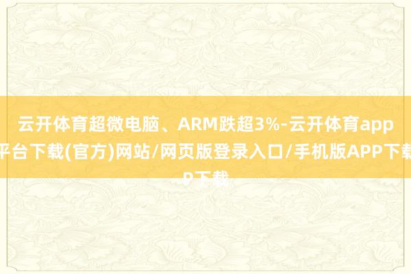云开体育超微电脑、ARM跌超3%-云开体育app平台下载(官方)网站/网页版登录入口/手机版APP下载