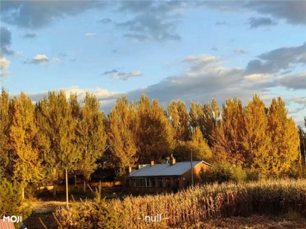 云开体育气温骤降不仅带来体感不适-云开体育app平台下载(官方)网站/网页版登录入口/手机版APP下载