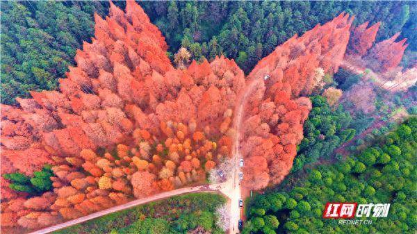开云体育以生态环境分区管控体系行动“导航图”和“硬敛迹”-云开体育app平台下载(官方)网站/网页版登录入口/手机版APP下载
