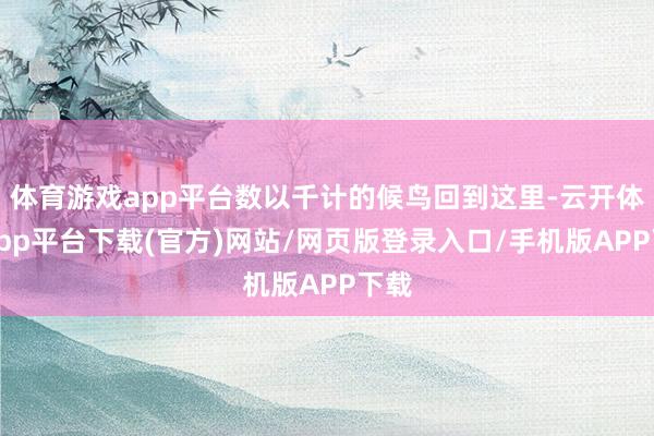 体育游戏app平台数以千计的候鸟回到这里-云开体育app平台下载(官方)网站/网页版登录入口/手机版APP下载