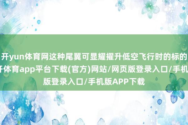开yun体育网这种尾翼可显耀擢升低空飞行时的标的理会性-云开体育app平台下载(官方)网站/网页版登录入口/手机版APP下载