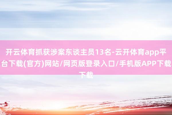 开云体育抓获涉案东谈主员13名-云开体育app平台下载(官方)网站/网页版登录入口/手机版APP下载